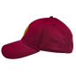 CASQUETTE HARRY POTTER GRYFFONDOR HONEY COMB - Pack GH + Sticker GEEK HEAD inclus